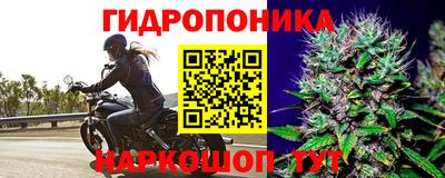 каннабис Можга