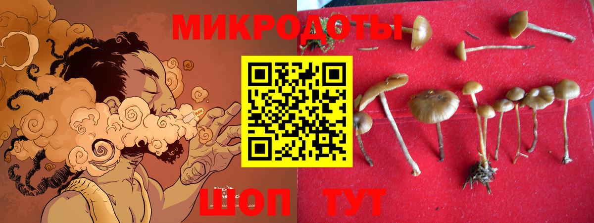 Псилоцибиновые грибы MAGIC MUSHROOMS Сухой Лог